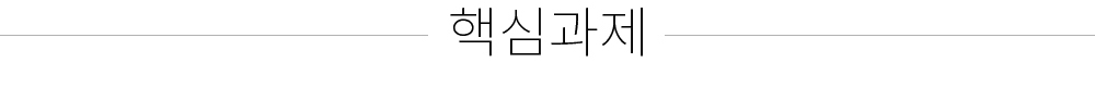 핵심과제